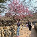 키진이 순삭일기 3월: 오감자들 정기모임, 딥트 3일 내돈내산, 와온 노드그라운즈, 학동 돌산횟집, 광양...