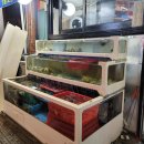 씨알어린이공원 | 겨울보약 굴찜 -화곡동 굴사냥 웨이팅과 주차