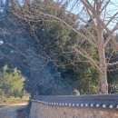 여흥민씨부조묘 | 여흥민씨 부조묘(驪興閔氏 不祧廟)-전남 해남