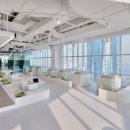 부산야생동물치료센터 이미지