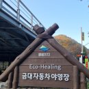 금대자동차야영장(치악산국립공원) 이미지