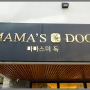 구미강아지분양 애견미용 마마스미독 | 대구 강아지 가정분양 계속해서 마마스미독에서