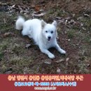 벤지