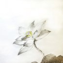 박인순 Daum카페