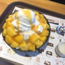 김현오치과의원 네이버블로그