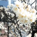 팬데믹과 엔데믹 ~~ 이미지