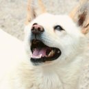 모정농장 이미지