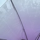 (유)남신교통 | 240906 보넥도 부관불 뮤뱅 사녹 후기