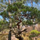 더존스터디학원 이미지