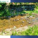 네이쳐캠프70s 1 이미지