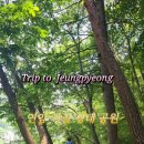 영수공원길 이미지