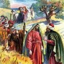 오늘복음(요한1,45~51) 필립보와 나타나엘을 부르시다 이미지