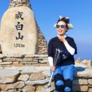 함백산 민박 이미지