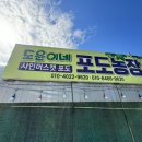 도윤이네포도농장