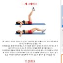 강남 콩바디 헬스클럽 이미지