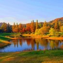 에이블골프 이미지