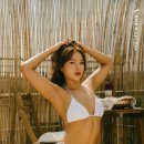 휘트니스 태권도장 이미지