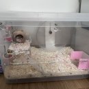 초롱꽃마을3단지 정류장 이미지