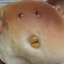 민주네국수 | 휴가때는 어케 살앗ㄴ게 (+대구 토리숲 후기)