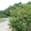 DMZ평화의길 평화쉼터 이미지