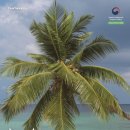 연미초교 이미지