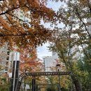 준현카 네이버블로그