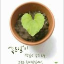 새봄발전소 이미지