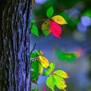 성모요양병원 이미지