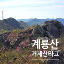 계룡산임도1(거제공고 위) | 거제산타고 계룡산 진달래산행 등산코스 공설운동장 주차장 원점회귀