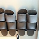 리버노스 A 이미지