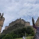 참약사맑은약국 이미지