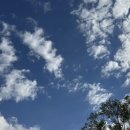 창수손세차장 이미지