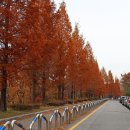 대왕판교로560번길 이미지