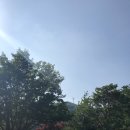 방실농장 | [강원도하늘목장후기] 6월말 대관령 날씨 및 후기입니다.