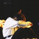 오늘도 댕댕 이미지