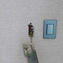 신수로R 이미지