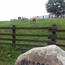 동해 바다 게스트하우스 이미지