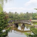 한쌈&한솥 이미지