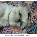 훅