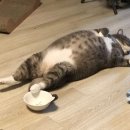 [연희일기] 유우 후기