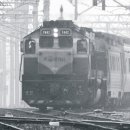 기차이야기 이미지