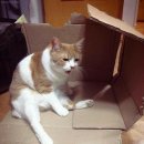 떳다PC방 이미지