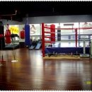 광명 Jin 복싱클럽 이미지