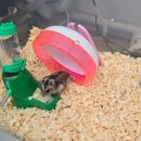 토끼야 놀자(영종하늘도시점) 이미지