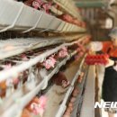 덕연농장 이미지