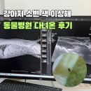 H 동물병원 | 강아지 건강검진 신장 결석 방광염 성남 스타동물의료센터 프로모션 추천