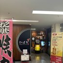히바리 | 시청역 이자카야 추천! 일본 감성 가득한 히바리 방문 후기