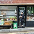 고양이숲 이미지