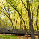 목동동로2길 이미지