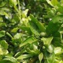 민제농장 이미지